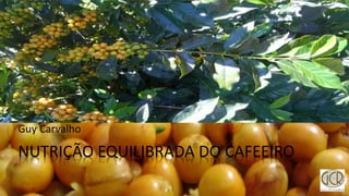 NUTRIÇÃO EQUILIBRADA DO CAFEEIRO
Guy Carvalho
 