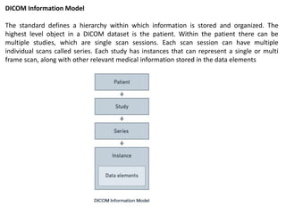 information transfer biology for engineering notes | PDF