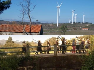 Contrastes:
*Eólicas vs grupo de trabalho
 