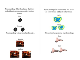 Nouns ending if f or fe, change the f to v and add es to some nouns, add s to other nouns. leaf leaves Nouns ending with a vowel and o add s. Studio studios Nouns ending with a consonant and o :add s to some nouns ;add es to other nouns . zero zeroes Nouns that have special plural spellings. Foot feet