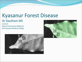 Kyasanur Forest Disease Dr Gautham MS  Lecturer Dept of Community Medicine  M S Ramaiah Medical College  