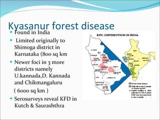 Kyasanur forest disease Found in India Limited originally to Shimoga district in Karnataka (800 sq km  Newer foci in 3 more  districts namely U.kannada,D. Kannada and Chikmangaluru  ( 6000 sq km ) Serosurveys reveal KFD in Kutch & Saurashthra 