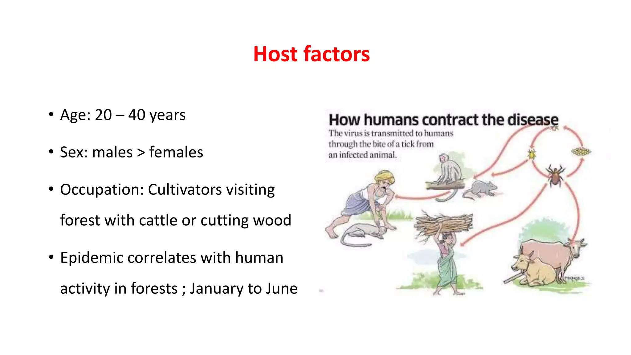 • Age: 20 – 40 years
• Sex: males > females
• Occupation: Cultivators visiting
forest with cattle or cutting wood
• Epidemic correlates with human
activity in forests ; January to June
Host factors
