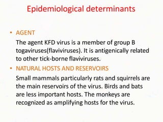 Epidemiological determinants
• AGENT
The agent KFD virus is a member of group B
togaviruses(flaviviruses). It is antigenically related
to other tick-borne flaviviruses.
• NATURAL HOSTS AND RESERVOIRS
Small mammals particularly rats and squirrels are
the main reservoirs of the virus. Birds and bats
are less important hosts. The monkeys are
recognized as amplifying hosts for the virus.
 