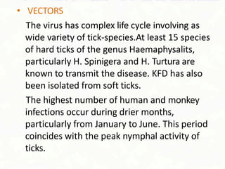 • VECTORS
The virus has complex life cycle involving as
wide variety of tick-species.At least 15 species
of hard ticks of the genus Haemaphysalits,
particularly H. Spinigera and H. Turtura are
known to transmit the disease. KFD has also
been isolated from soft ticks.
The highest number of human and monkey
infections occur during drier months,
particularly from January to June. This period
coincides with the peak nymphal activity of
ticks.
 