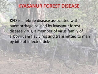KYASANUR FOREST DISEASE
KFD is a febrile disease associated with
haemorrhage caused by kyasanur forest
disease virus, a member of virus family of
arbovirus & flavivirus and transmitted to man
by bite of infected ticks.
 
