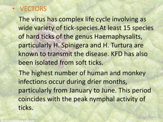 • VECTORS
The virus has complex life cycle involving as
wide variety of tick-species.At least 15 species
of hard ticks of the genus Haemaphysalits,
particularly H. Spinigera and H. Turtura are
known to transmit the disease. KFD has also
been isolated from soft ticks.
The highest number of human and monkey
infections occur during drier months,
particularly from January to June. This period
coincides with the peak nymphal activity of
ticks.
 