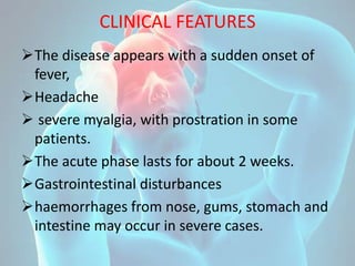 CLINICAL FEATURES
The disease appears with a sudden onset of
fever,
Headache
 severe myalgia, with prostration in some
patients.
The acute phase lasts for about 2 weeks.
Gastrointestinal disturbances
haemorrhages from nose, gums, stomach and
intestine may occur in severe cases.
 