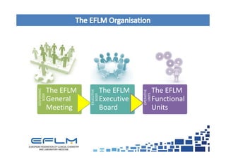 GOVERNING
BODY
The EFLM
General
Meeting
EXUCUTIVE
BODY
The EFLM
Executive
Board
OPERATIVE
UNITS
The EFLM
Functional
Units
 