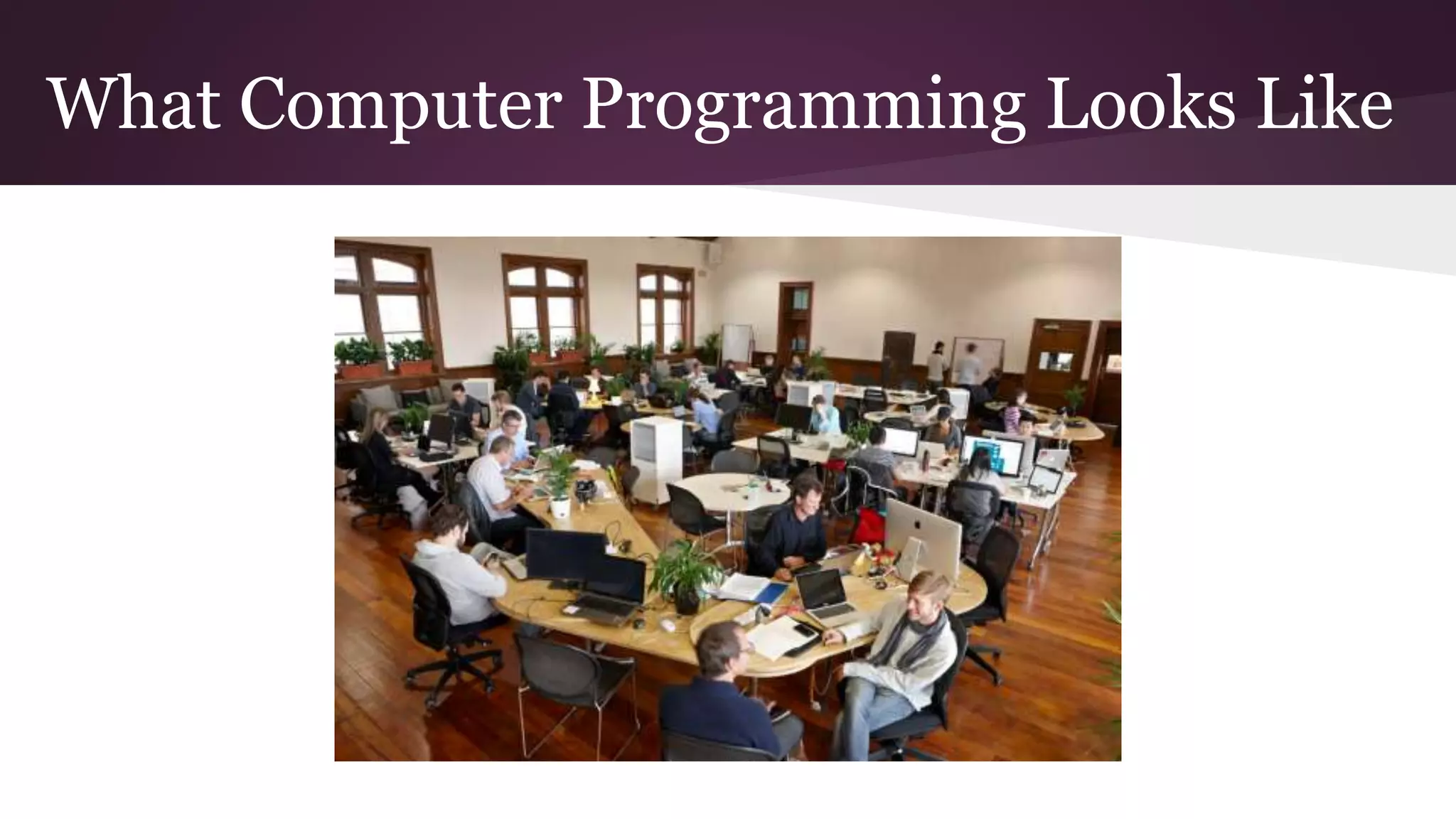What Computer Programming Looks Like
 