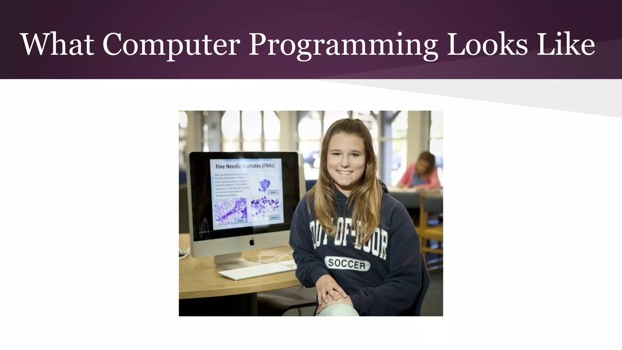What Computer Programming Looks Like
 