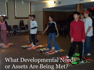 What Developmental Needs  or Assets Are Being Met? 