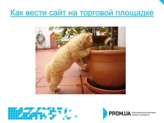 Как вести сайт на торговой площадке
 