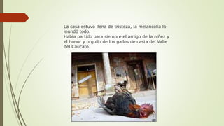 La casa estuvo llena de tristeza, la melancolía lo
inundó todo.
Había partido para siempre el amigo de la niñez y
el honor y orgullo de los gallos de casta del Valle
del Caucato.
 