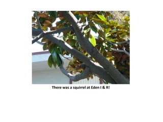 There was a squirrel at Eden I & R!