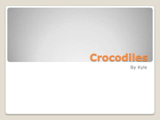 Crocodiles By Kyle 
