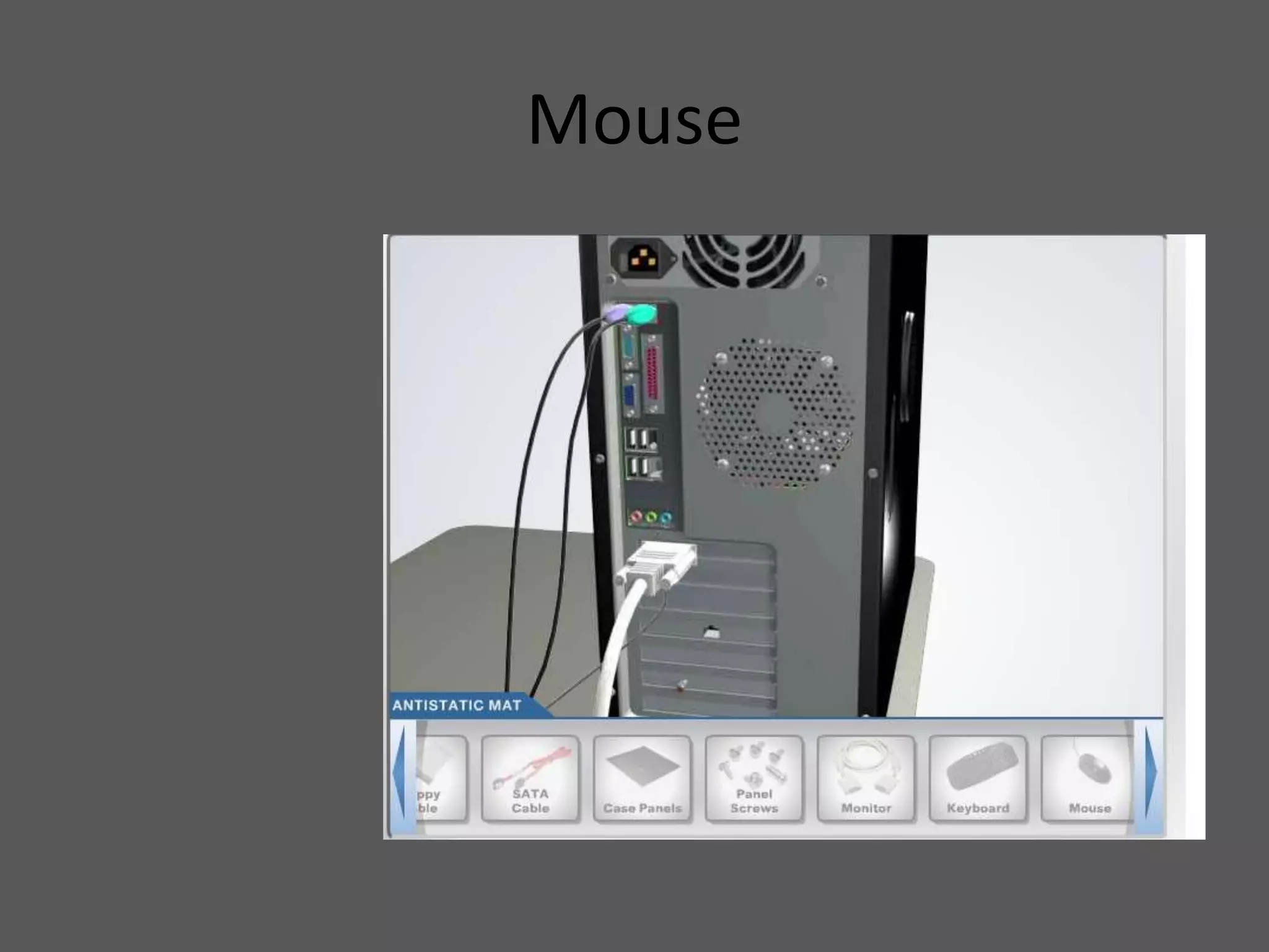 Mouse
 