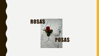 ROSAS
POSAS
