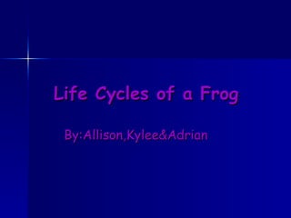 Life Cycles of a Frog By:Allison,Kylee&Adrian . 