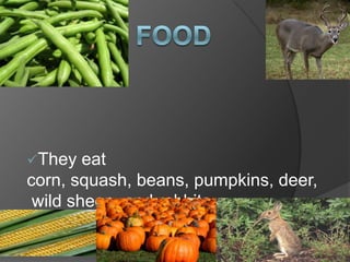 About 2-3 families can live in one.FoodThey eat corn, squash, beans, pumpkins, deer, wild sheep, and rabbits.Clothing & ToolsThey wore turkey feathers, and fur from all kinds of animals.Religious Beliefs & CommunicationThey believed in Manabozho Coyote.