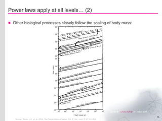 Power laws apply at all levels… (2) Other biological processes closely follow the scaling of body mass: *Source Brown, J.H., et. al. (2002) The Fractal Nature of Nature. Phil. R. Soc. Lond. B 357, 619-626 