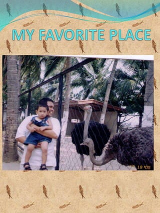 claire powerpoint presentation