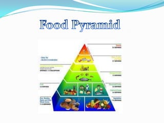 Food Pyramid