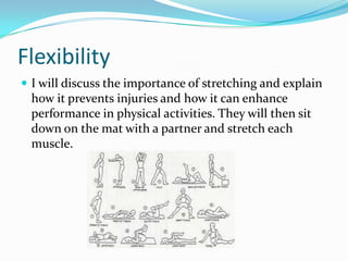 FlexibilityI will discuss the importance of stretching and explain how it prevents injuries and how it can enhance performance in physical activities. They will then sit down on the mat with a partner and stretch each muscle.