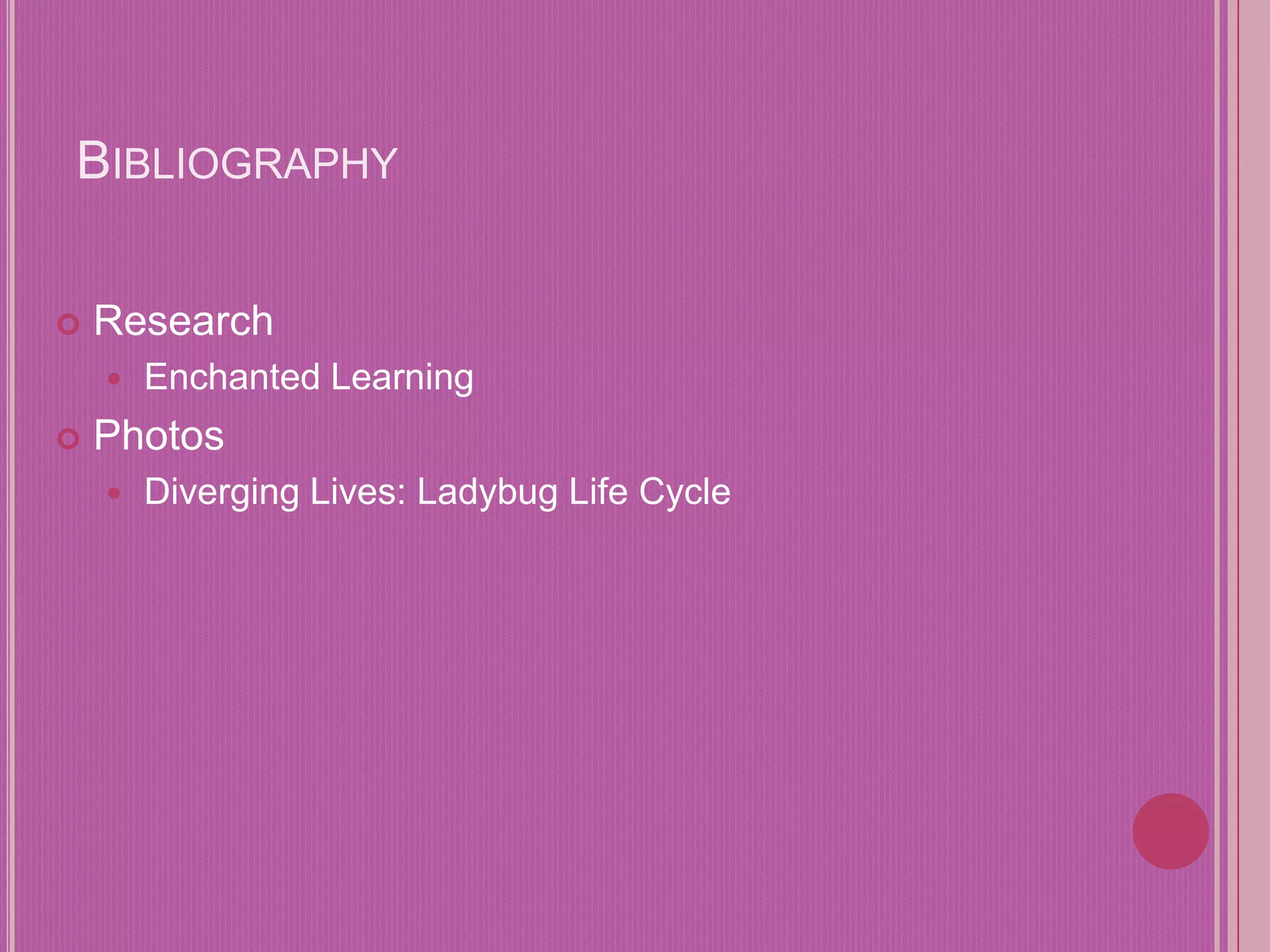 Kylie 1 G Lifecycle ladybug student Copy PPT kylie-1-g-lifecycle-ladybug-student-copy-ppt