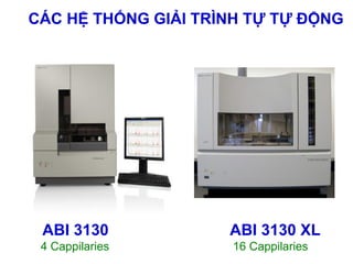 Sequencing lý thuyết | PDF