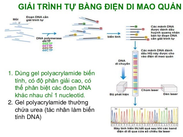 slideshare