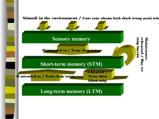 Stimuli in the environment / Caùc taùc nhaân kích thích trong moâi tröôøng 
Sensory memory 
If attended to / Neáu chuù taâm 
Short-term memory (STM) 
Elaborative 
rehearsal / 
Neáu chòu 
khoù taäp 
luyeän 
If attended to / Neáu chuù taâm 
Long-term memory (LTM) 
Maintenance 
rehearsal / Duy trì 
taäp luyeän 
 