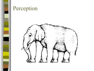 Perception 
 