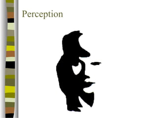 Perception 
 