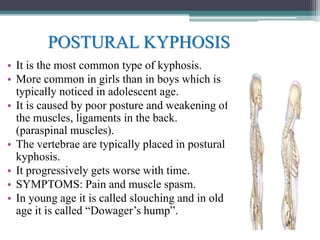 POSTURAL KYPHOSIS
• It is the most common type of kyphosis.
• More common in girls than in boys which is
typically noticed in adolescent age.
• It is caused by poor posture and weakening of
the muscles, ligaments in the back.
(paraspinal muscles).
• The vertebrae are typically placed in postural
kyphosis.
• It progressively gets worse with time.
• SYMPTOMS: Pain and muscle spasm.
• In young age it is called slouching and in old
age it is called “Dowager’s hump”.
 