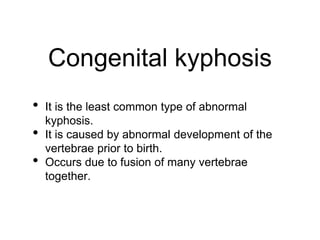 Congenital kyphosis
• It is the least common type of abnormal
kyphosis.
• It is caused by abnormal development of the
vertebrae prior to birth.
• Occurs due to fusion of many vertebrae
together.
 