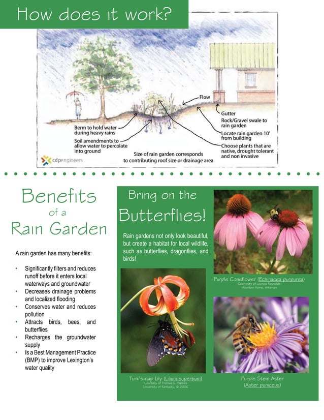 KY Rain Garden Manual Bluegrass Rain Garden Alliance