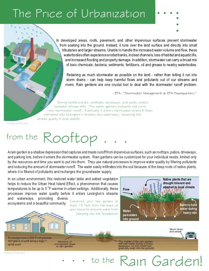KY Rain Garden Manual Bluegrass Rain Garden Alliance
