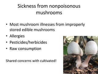 How common is fungal food-borne illness?
Analyzed CDC data from 1998-
2008
Fungi responsible for 4,542
cases of illness, m...
