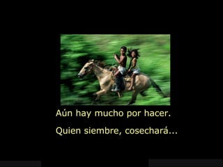 Aún hay mucho por hacer. Quien siembre, cosechará... 