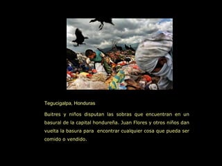 Tegucigalpa, Honduras

Buitres y niños disputan las sobras que encuentran en un
basural de la capital hondureña. Juan Flores y otros niños dan
vuelta la basura para encontrar cualquier cosa que pueda ser
comido o vendido.
 
