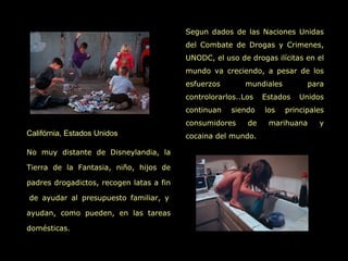 Segun dados de las Naciones Unidas
                                          del Combate de Drogas y Crimenes,
                                          UNODC, el uso de drogas ilícitas en el
                                          mundo va creciendo, a pesar de los
                                          esfuerzos       mundiales         para
                                          controlorarlos..Los   Estados   Unidos
                                          continuan   siendo    los   principales
                                          consumidores     de    marihuana     y
Califórnia, Estados Unidos                cocaina del mundo.

No muy distante de Disneylandia, la

Tierra de la Fantasia, niño, hijos de

padres drogadictos, recogen latas a fin

de ayudar al presupuesto familiar, y

ayudan, como pueden, en las tareas

domésticas.
 