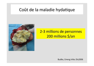 Coût	de	la	maladie	hydaKque	
Budke,	Emerg	Infec	Dis2006	
2-3	millions	de	personnes	
200	millions	$/an		
 