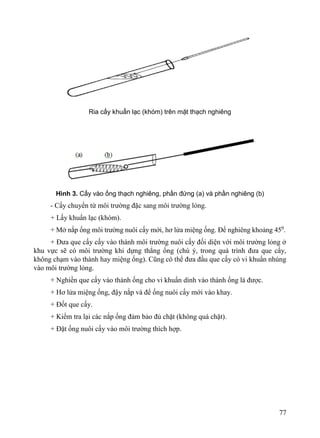 Kỹ thuật vi sinh lâm sàng.pdf