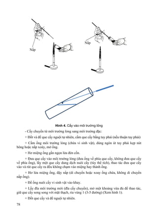 Kỹ thuật vi sinh lâm sàng.pdf