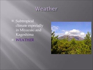 Subtropical climate especially in Miyazaki and Kagoshima WEATHER 