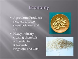 Agriculture Products: rice, tea, tobacco, sweet potatoes, and soy Heavy industry creating chemicals and metal in Kitakyushu, Nagasaki, and Oita  
