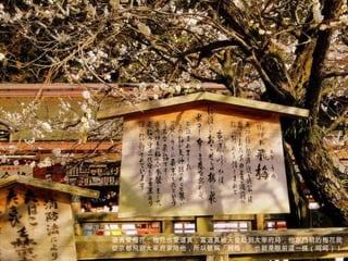 道真愛梅花，梅花也愛道真，當道真被天皇貶到太宰府時，他家門前的梅花就從京都飛到太宰府來陪他，所以號稱「飛梅」，也就是眼前這一株（呵呵）！ 