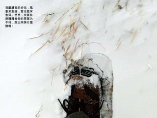 我繼續我的步伐，風愈來愈強，雪也愈來愈深。想想～放著有熱騰騰食物的房屋內不待，跑出來探什麼險啊！ 