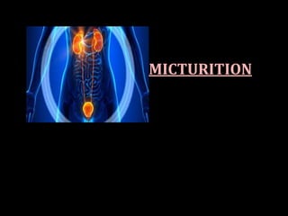MICTURITION
 